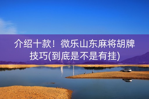 介绍十款！微乐山东麻将胡牌技巧(到底是不是有挂)