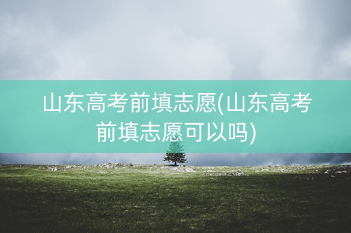 山东高考前填志愿(山东高考前填志愿可以吗)