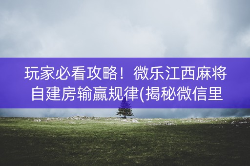 玩家必看攻略！微乐江西麻将自建房输赢规律(揭秘微信里输赢技巧)
