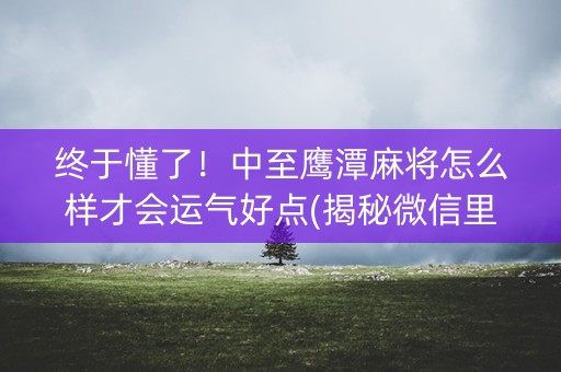 终于懂了！中至鹰潭麻将怎么样才会运气好点(揭秘微信里输赢技巧)