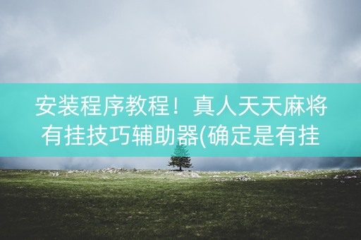 安装程序教程！真人天天麻将有挂技巧辅助器(确定是有挂)