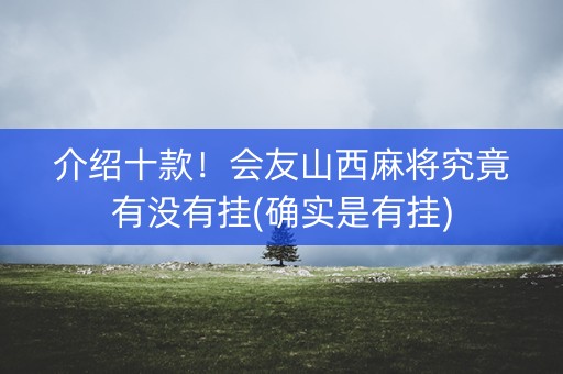介绍十款！会友山西麻将究竟有没有挂(确实是有挂)