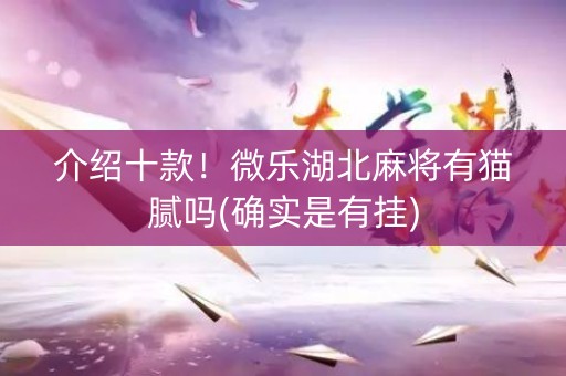 介绍十款！微乐湖北麻将有猫腻吗(确实是有挂)