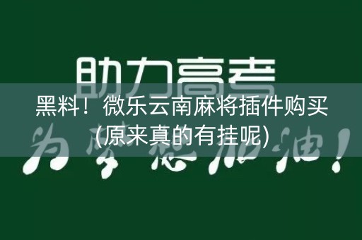 黑料！微乐云南麻将插件购买(原来真的有挂呢)