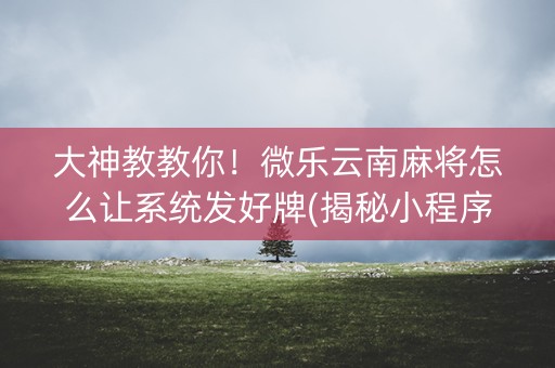大神教教你！微乐云南麻将怎么让系统发好牌(揭秘小程序提高赢的概率)