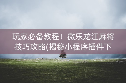 玩家必备教程！微乐龙江麻将技巧攻略(揭秘小程序插件下载)