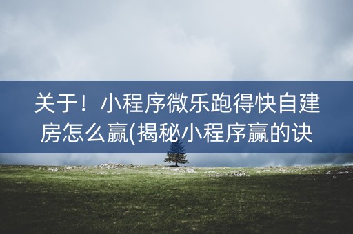 关于！小程序微乐跑得快自建房怎么赢(揭秘小程序赢的诀窍)