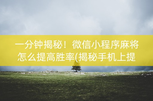 一分钟揭秘！微信小程序麻将怎么提高胜率(揭秘手机上提高胜率)