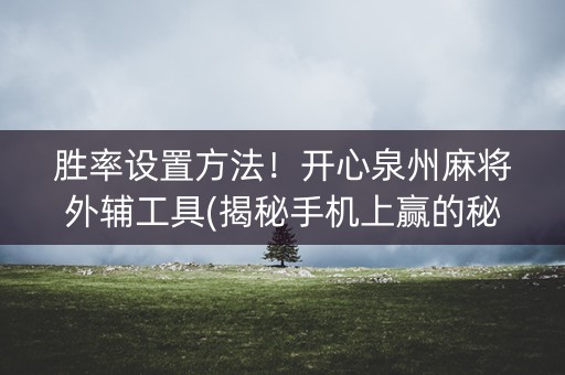 胜率设置方法！开心泉州麻将外辅工具(揭秘手机上赢的秘诀)