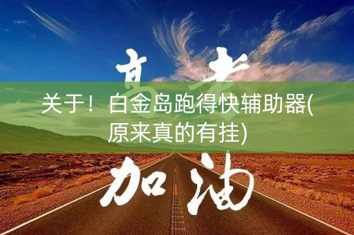 关于！白金岛跑得快辅助器(原来真的有挂)