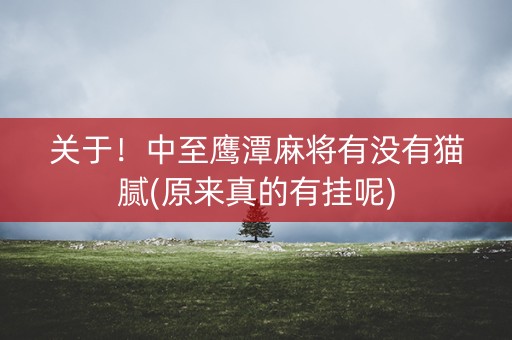 关于！中至鹰潭麻将有没有猫腻(原来真的有挂呢)