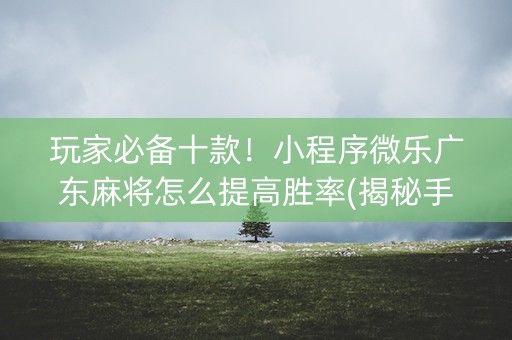 玩家必备十款！小程序微乐广东麻将怎么提高胜率(揭秘手机上系统发好牌)