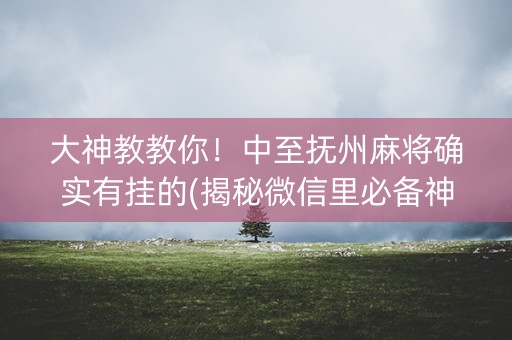 大神教教你！中至抚州麻将确实有挂的(揭秘微信里必备神器)