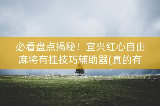 必看盘点揭秘！宜兴红心自由麻将有挂技巧辅助器(真的有挂)