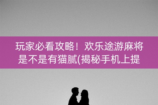 玩家必看攻略！欢乐途游麻将是不是有猫腻(揭秘手机上提高赢的概率)