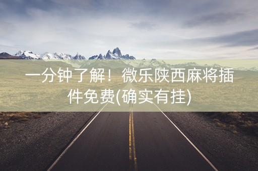 一分钟了解！微乐陕西麻将插件免费(确实有挂)