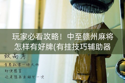 玩家必看攻略！中至赣州麻将怎样有好牌(有挂技巧辅助器)