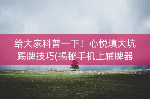 给大家科普一下！心悦填大坑踢牌技巧(揭秘手机上辅牌器)