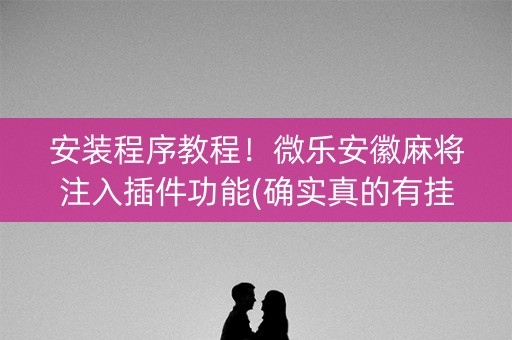 安装程序教程！微乐安徽麻将注入插件功能(确实真的有挂)