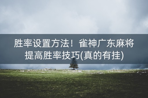 胜率设置方法！雀神广东麻将提高胜率技巧(真的有挂)