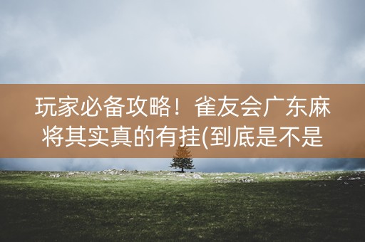 玩家必备攻略！雀友会广东麻将其实真的有挂(到底是不是有挂)