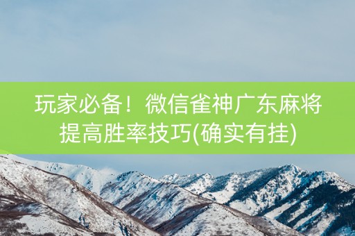 玩家必备！微信雀神广东麻将提高胜率技巧(确实有挂)