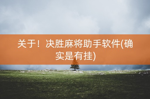 关于！决胜麻将助手软件(确实是有挂)