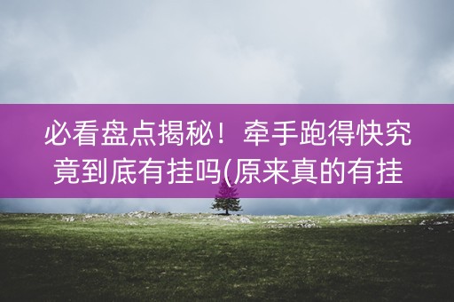 必看盘点揭秘！牵手跑得快究竟到底有挂吗(原来真的有挂)