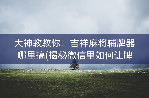 大神教教你！吉祥麻将辅牌器哪里搞(揭秘微信里如何让牌变好)