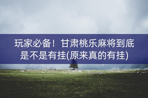 玩家必备！甘肃桃乐麻将到底是不是有挂(原来真的有挂)