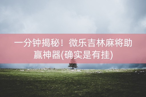 一分钟揭秘！微乐吉林麻将助赢神器(确实是有挂)