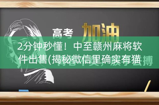 2分钟秒懂！中至赣州麻将软件出售(揭秘微信里确实有猫腻)