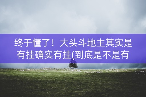 终于懂了！大头斗地主其实是有挂确实有挂(到底是不是有挂)