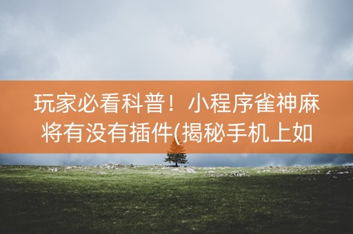 玩家必看科普！小程序雀神麻将有没有插件(揭秘手机上如何让牌变好)