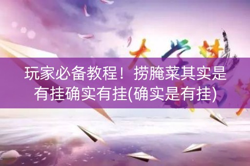 玩家必备教程！捞腌菜其实是有挂确实有挂(确实是有挂)