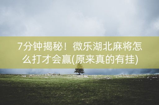 7分钟揭秘！微乐湖北麻将怎么打才会赢(原来真的有挂)