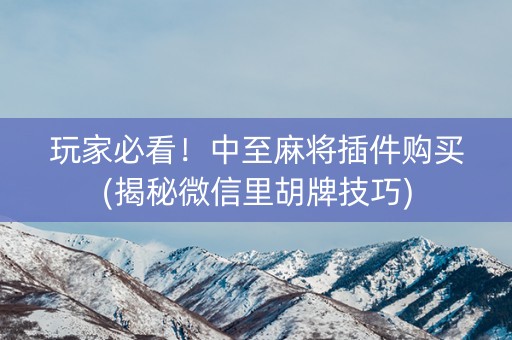 玩家必看！中至麻将插件购买(揭秘微信里胡牌技巧)