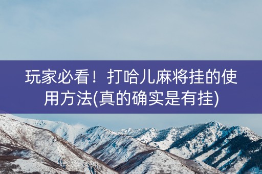 玩家必看！打哈儿麻将挂的使用方法(真的确实是有挂)