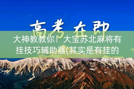 大神教教你！大宝苏北麻将有挂技巧辅助器(其实是有挂的)