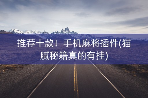 推荐十款！手机麻将插件(猫腻秘籍真的有挂)