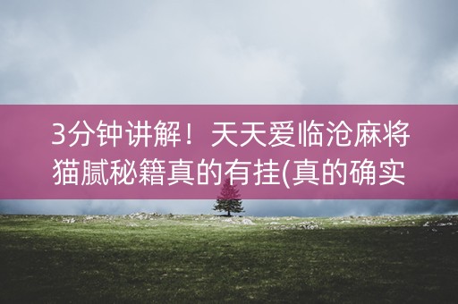 3分钟讲解！天天爱临沧麻将猫腻秘籍真的有挂(真的确实是有挂)