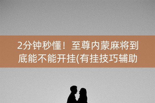 2分钟秒懂！至尊内蒙麻将到底能不能开挂(有挂技巧辅助器)