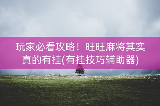 玩家必看攻略！旺旺麻将其实真的有挂(有挂技巧辅助器)