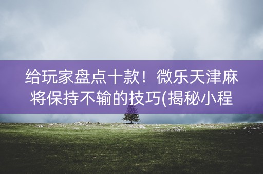 给玩家盘点十款！微乐天津麻将保持不输的技巧(揭秘小程序攻略插件)