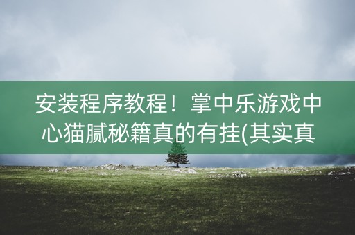 安装程序教程！掌中乐游戏中心猫腻秘籍真的有挂(其实真的确实有挂)