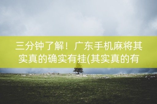 三分钟了解！广东手机麻将其实真的确实有挂(其实真的有挂)