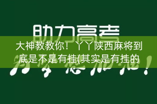 大神教教你！丫丫陕西麻将到底是不是有挂(其实是有挂的)