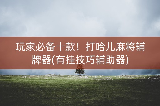 玩家必备十款！打哈儿麻将辅牌器(有挂技巧辅助器)