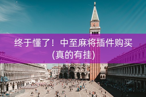 终于懂了！中至麻将插件购买(真的有挂)