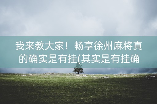 我来教大家！畅享徐州麻将真的确实是有挂(其实是有挂确实有挂)